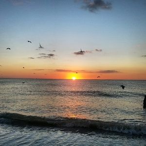 Meet your Posher, Luis